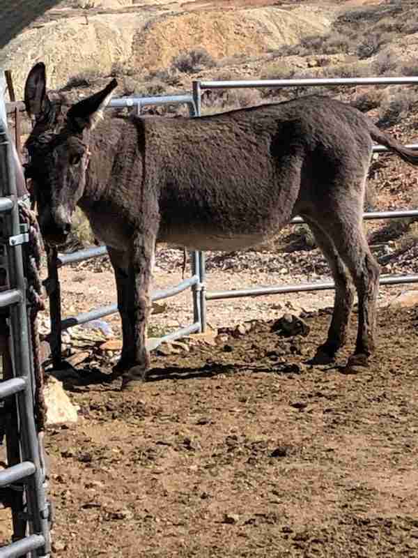 Current pic of Buffy